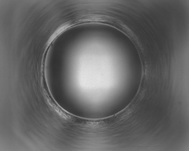 X0000078311378200611031227