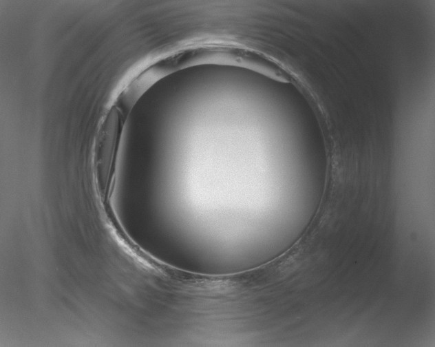 X0000078311382200611031227
