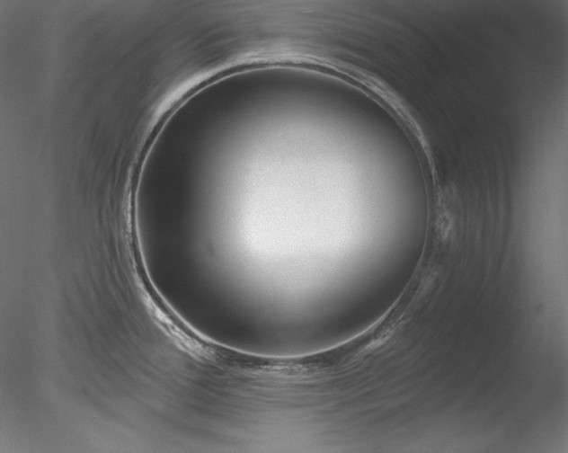 X0000078311388200611031227