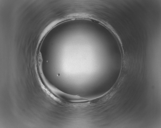 X0000078311389200611031227