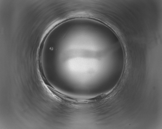 X0000078311392200611031227