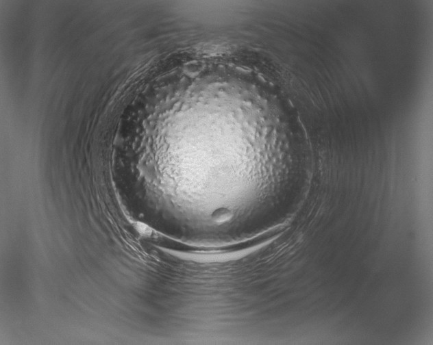 X0000078311393200611031226