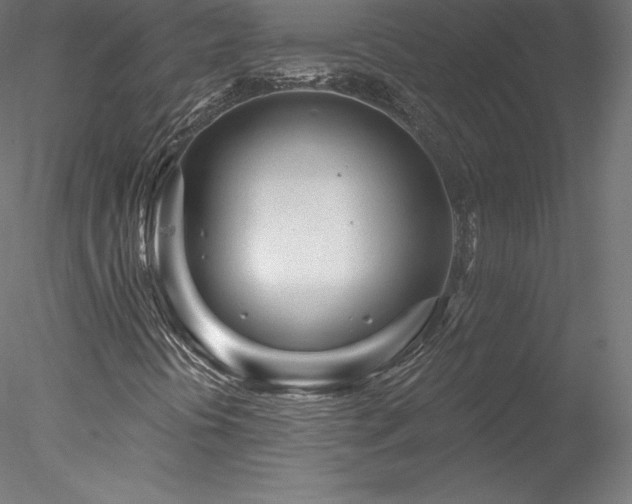 X0000078311394200611031226