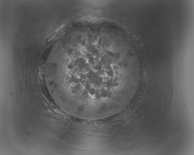 X0000078311397200611031226