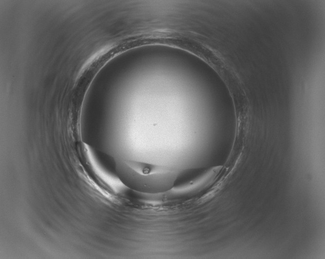 X0000078311402200611031226