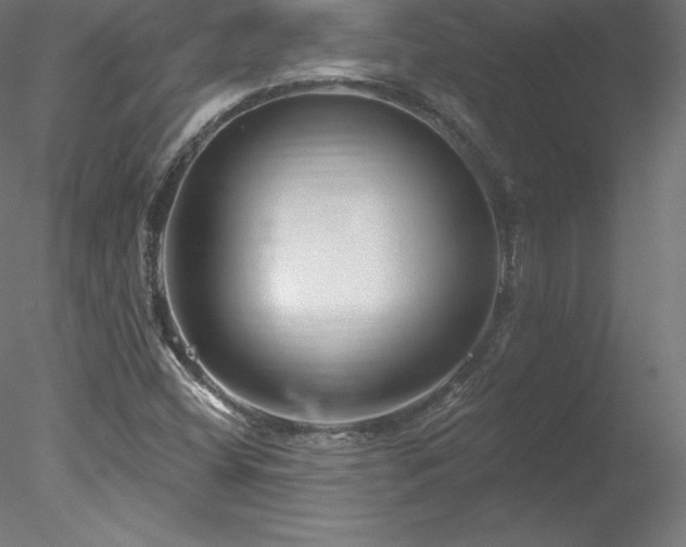 X0000078311404200611031226