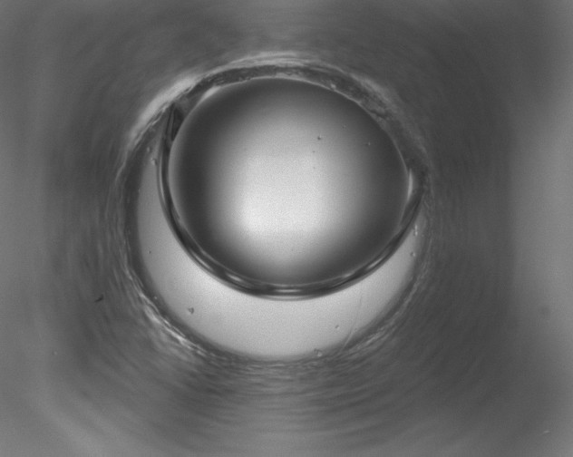X0000078311406200611031227