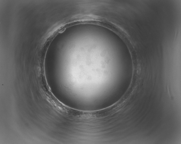 X0000078311407200611031227