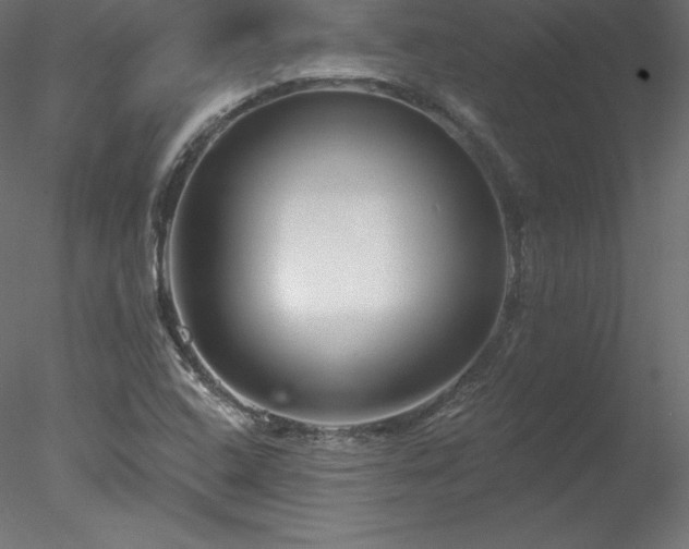 X0000078311408200611031227