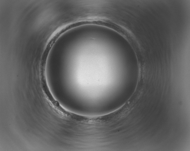X0000078311412200611031227