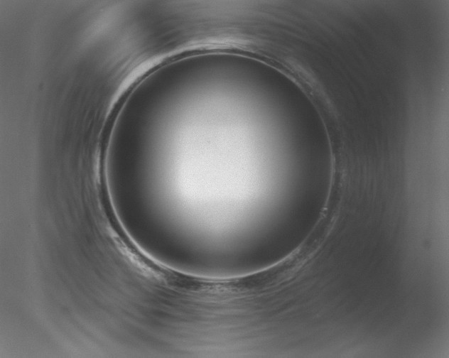 X0000078311420200611031227