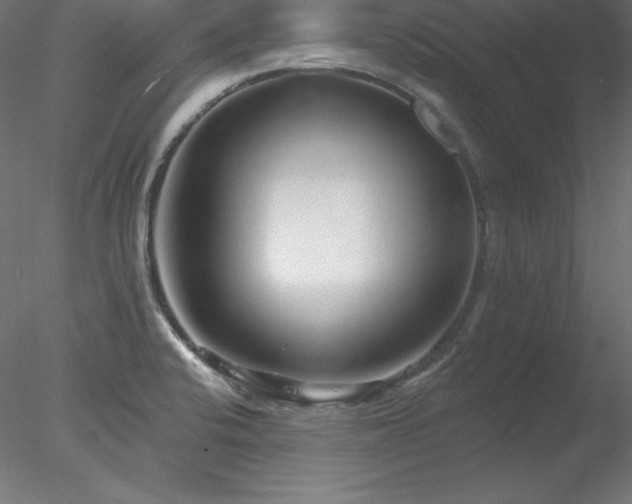 X0000078311424200611031227