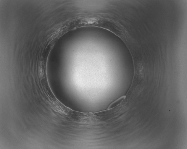 X0000078311442200611031226