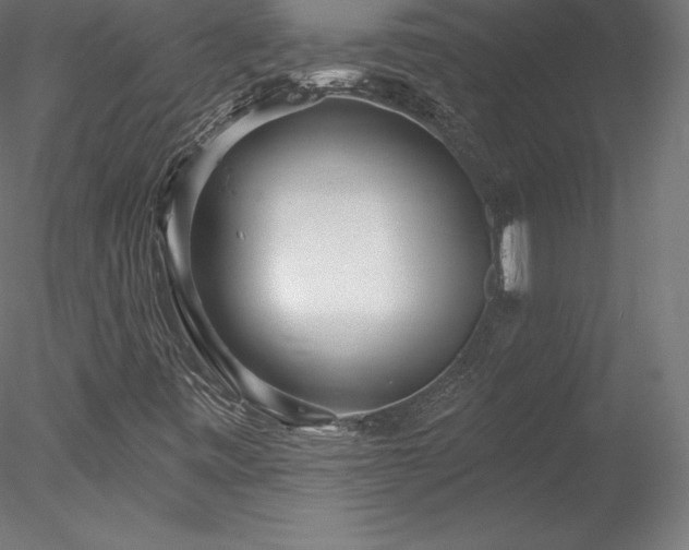 X0000078311443200611031226