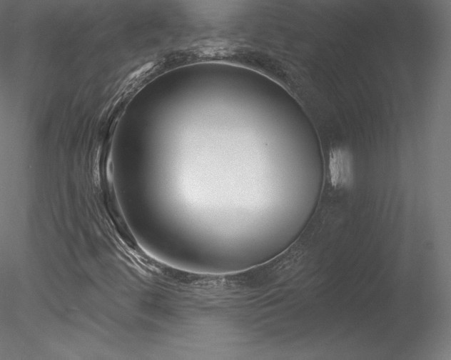 X0000078311444200611031226