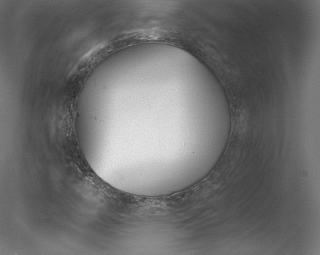 X0000078311446200611031226