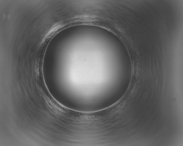 X0000078311451200611031226