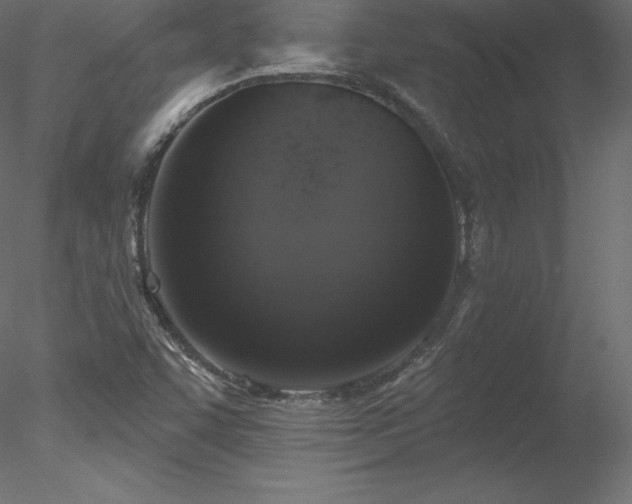 X0000078311455200611031226