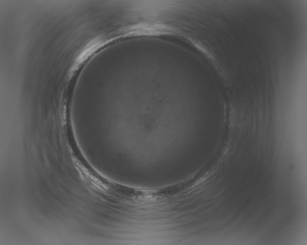 X0000078311459200611031226
