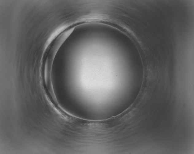 X0000078311469200611031226