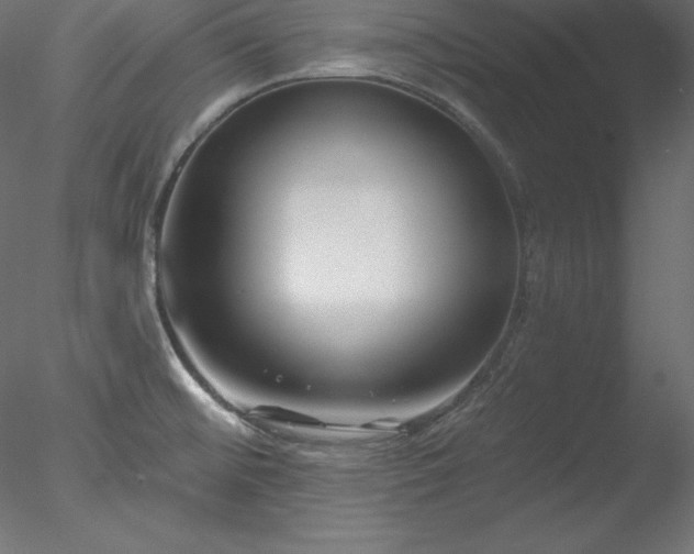 X0000078311476200611031226