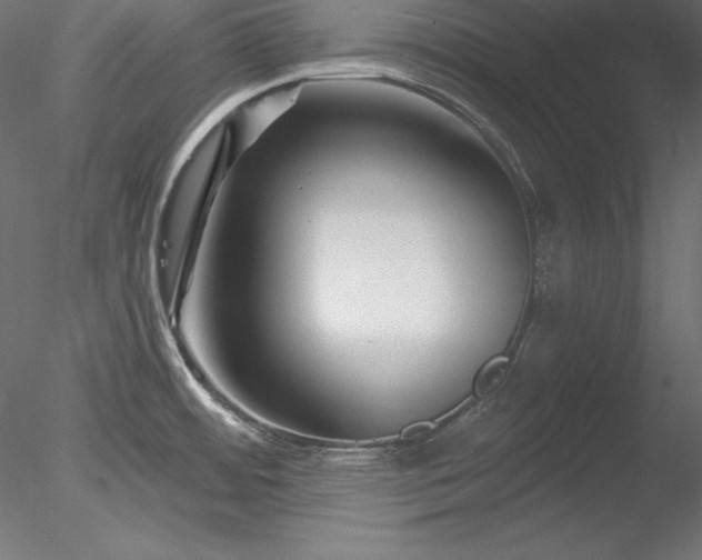 X0000078311484200611031226