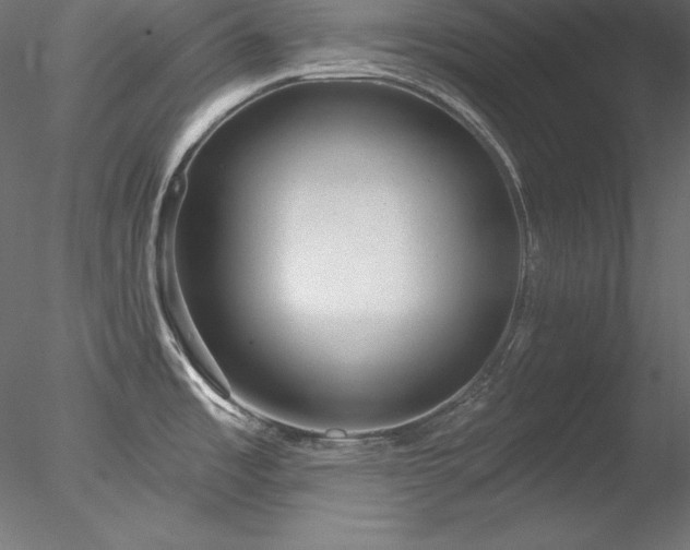 X0000078311485200611031226