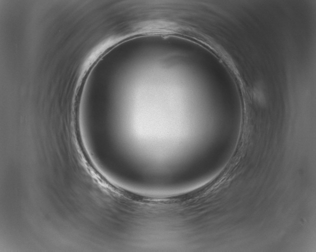 X0000078311488200611031225