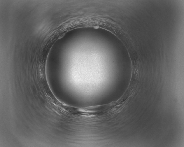 X0000078311490200611031225