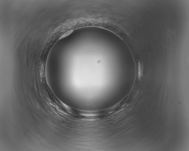 X0000078311492200611031225