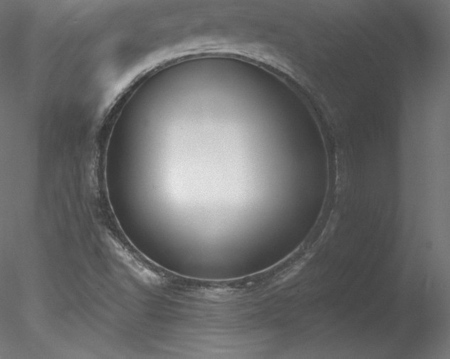 X0000078311502200611031225