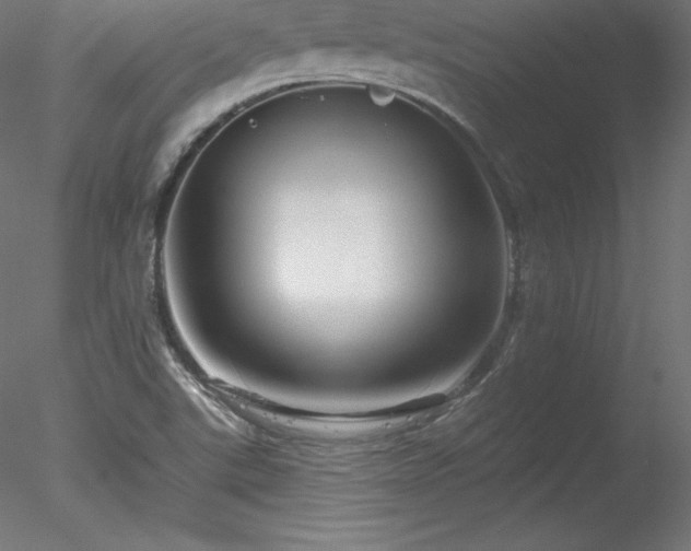 X0000078311507200611031225