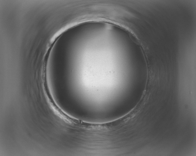 X0000078311526200611031225
