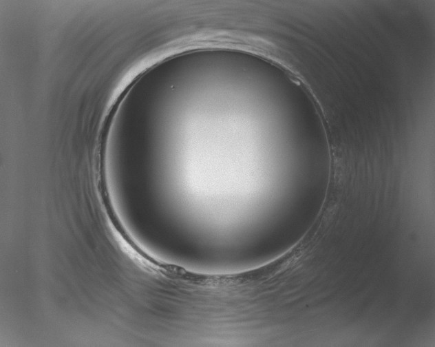 X0000078311531200611031225