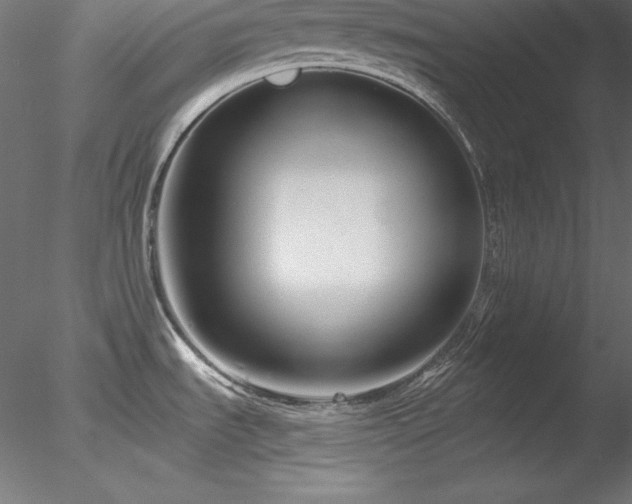 X0000078311535200611031225