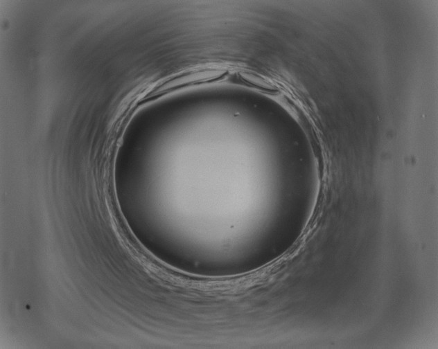 X0000078310001200611101239