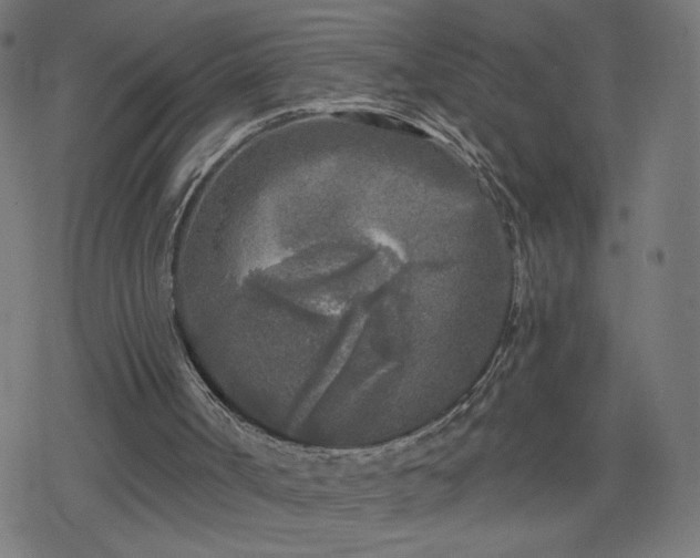 X0000078310002200611101239