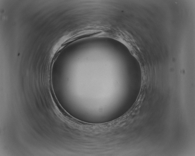 X0000078310003200611101239