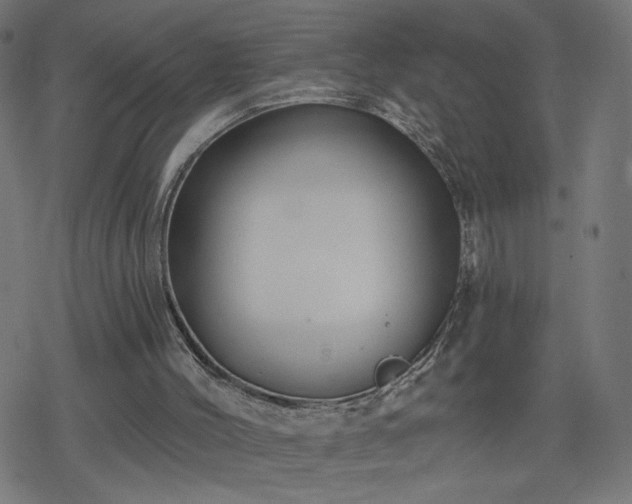 X0000078310004200611101239