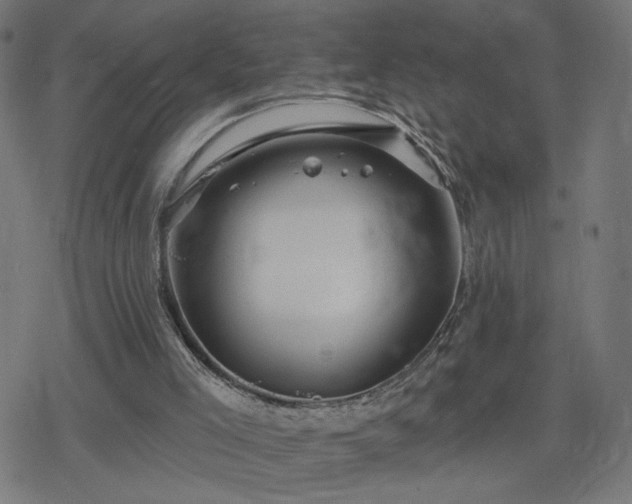 X0000078310005200611101239