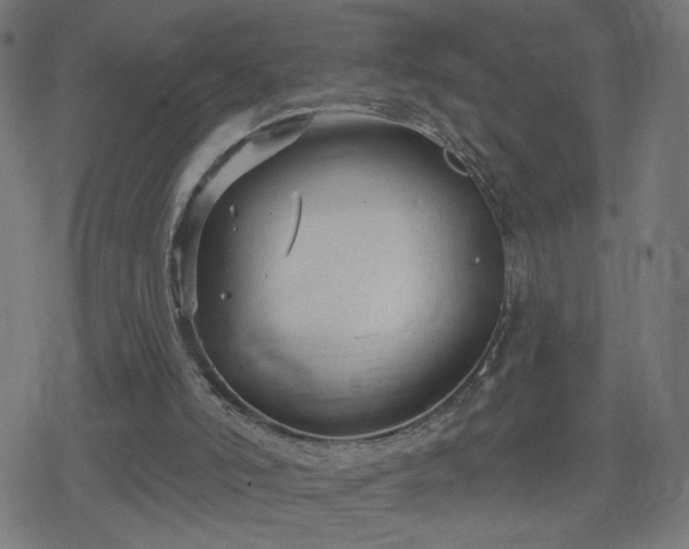 X0000078310006200611101239