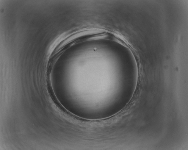 X0000078310007200611101239