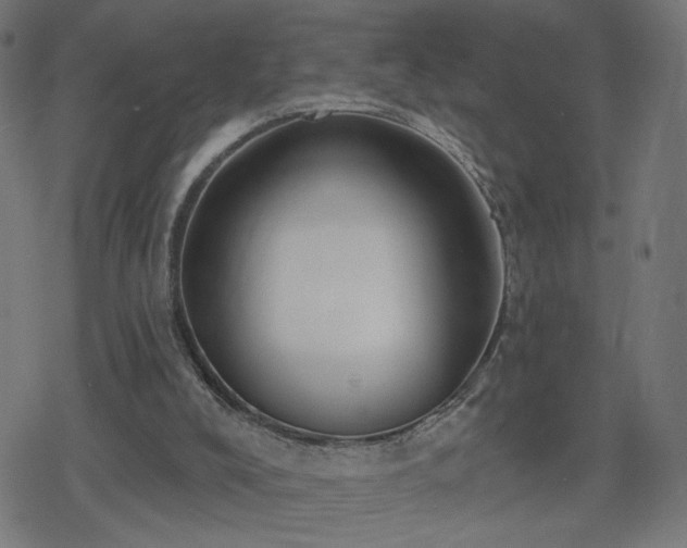 X0000078310008200611101239