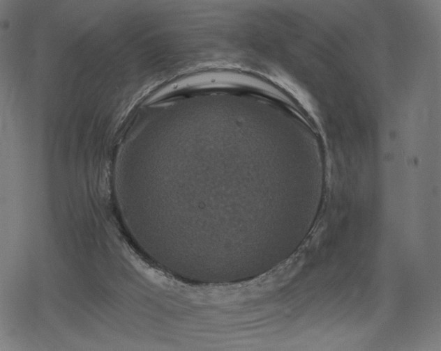 X0000078310009200611101239