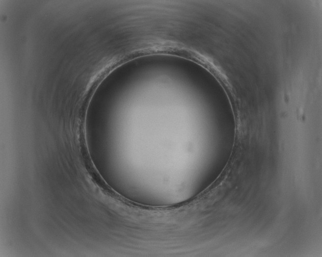 X0000078310010200611101239