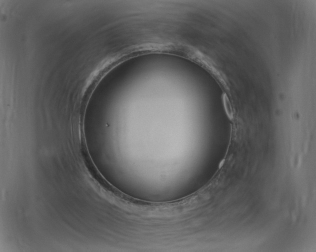 X0000078310011200611101239