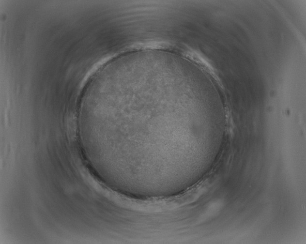 X0000078310012200611101239