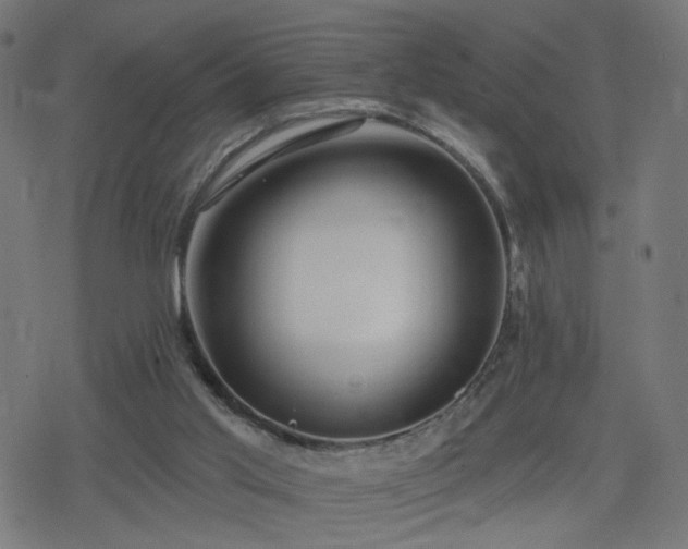 X0000078310013200611101239