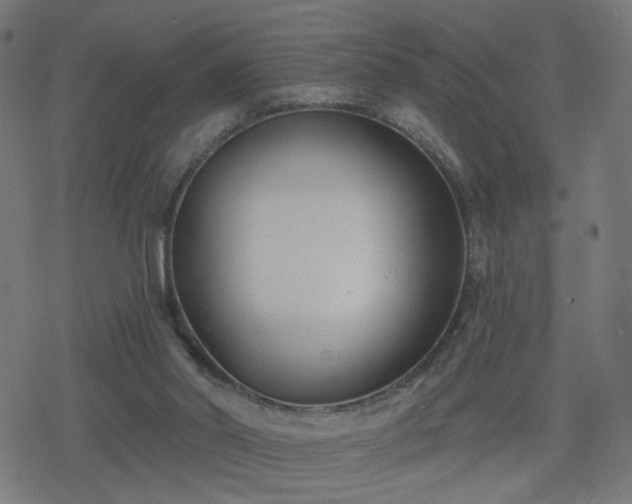 X0000078310014200611101239