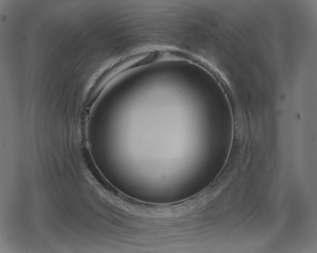 X0000078310015200611101239